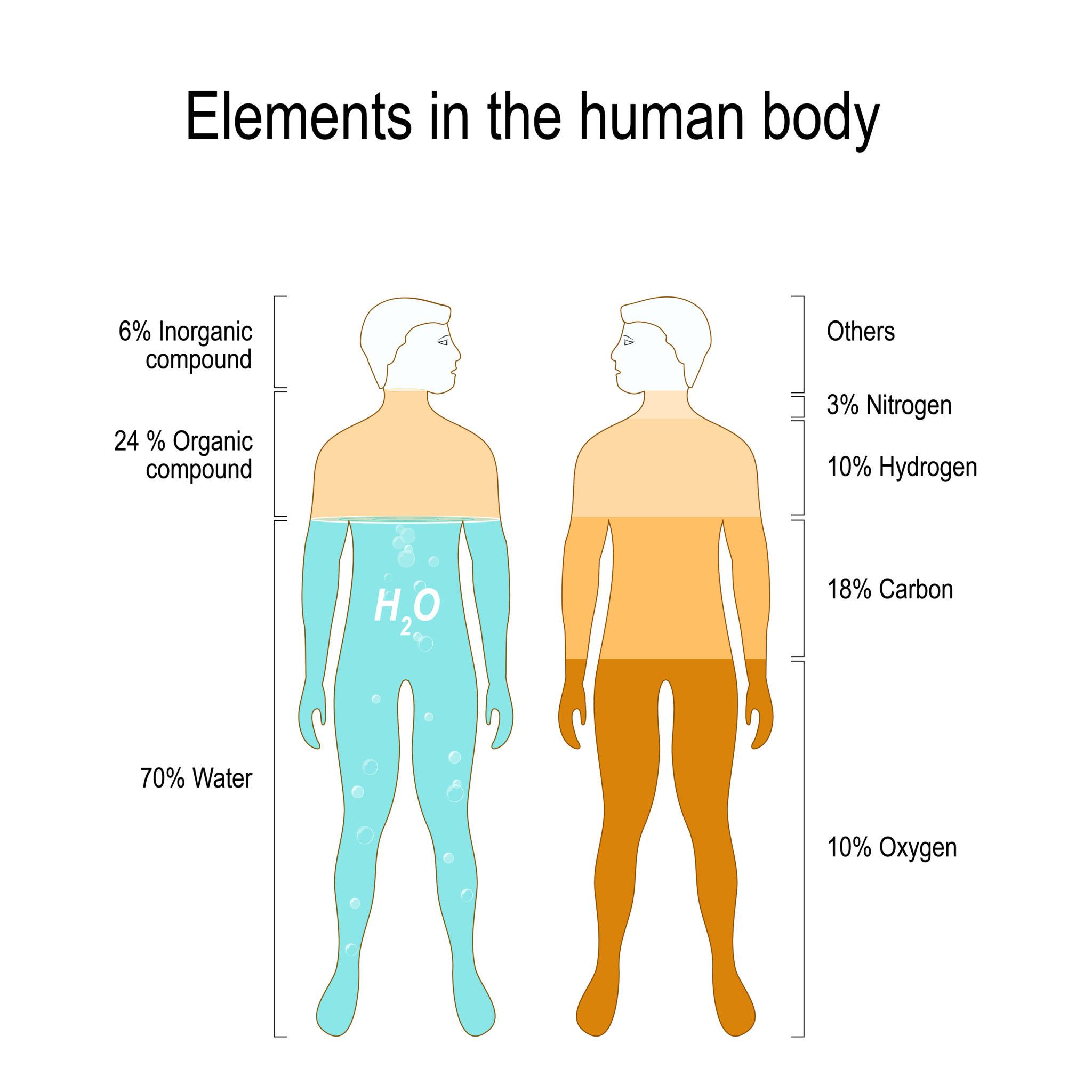 Imagen del post Los 10 elementos químicos más importantes para la vida